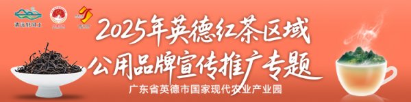 钜阵资本 扎根塞外，放眼俄蒙！英德红茶呼和浩特推广中心揭牌成立
