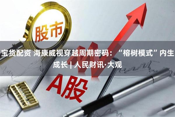 宝货配资 海康威视穿越周期密码：“榕树模式”内生成长 | 人民财讯·大观