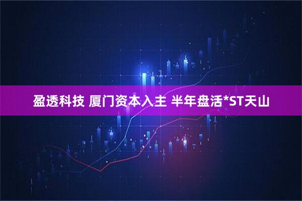 盈透科技 厦门资本入主 半年盘活*ST天山